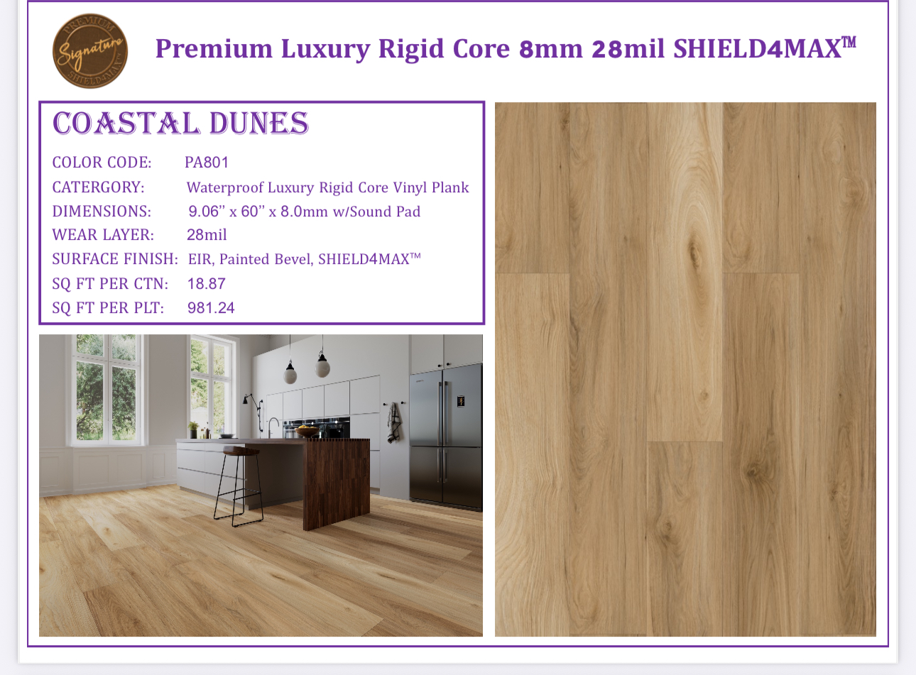 Coastal Dunes - Image 3