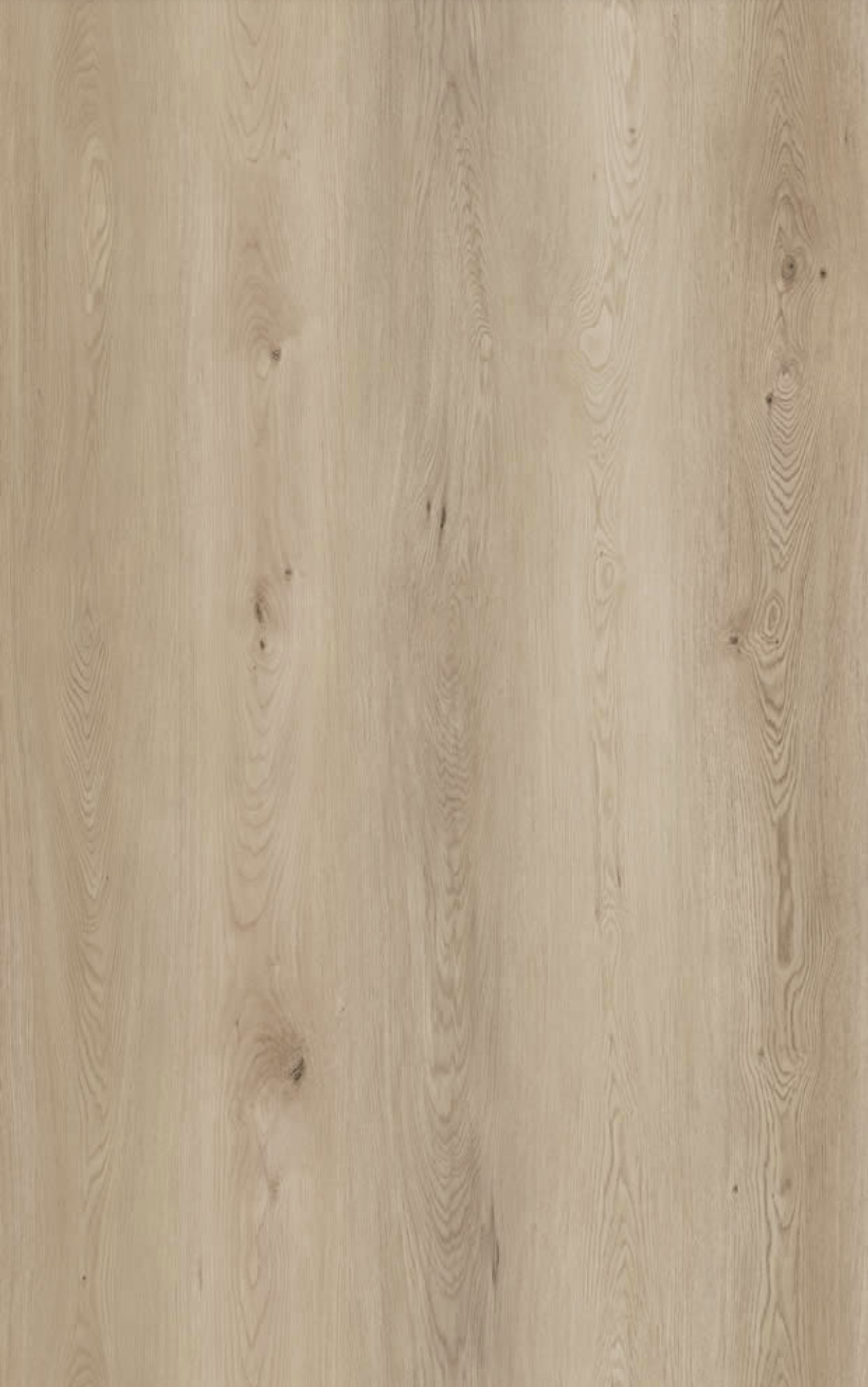 Mount Pleasant - Image 2